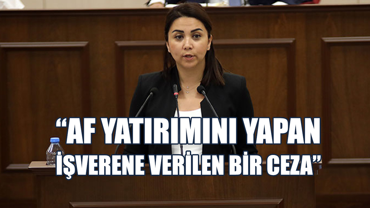 “Bu Yapılanlar Sizin Bu Ülkeyi Zerre Sevmediğinizi Gösteriyor”