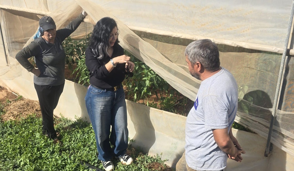 Tarım Dairesi, Maraş bölgesi üreticilerine yönelik eğitim düzenledi