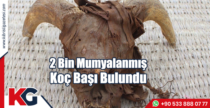 2 Bin Mumyalanmış Koç Başı Bulundu
