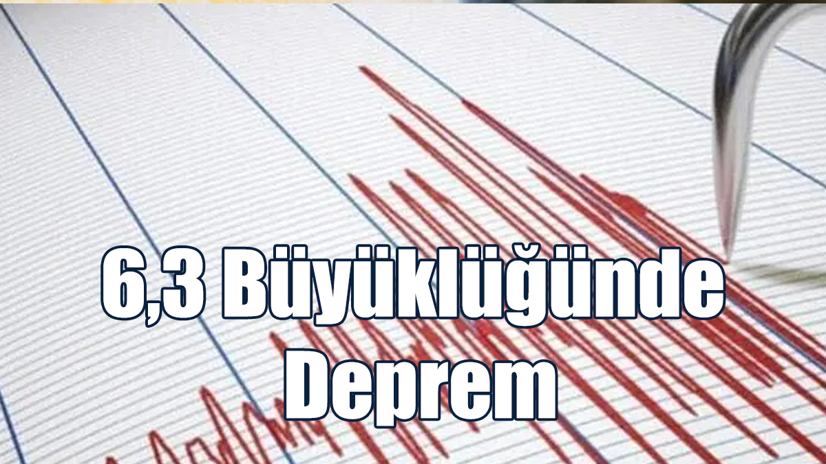 Japonya Yine Sallandı