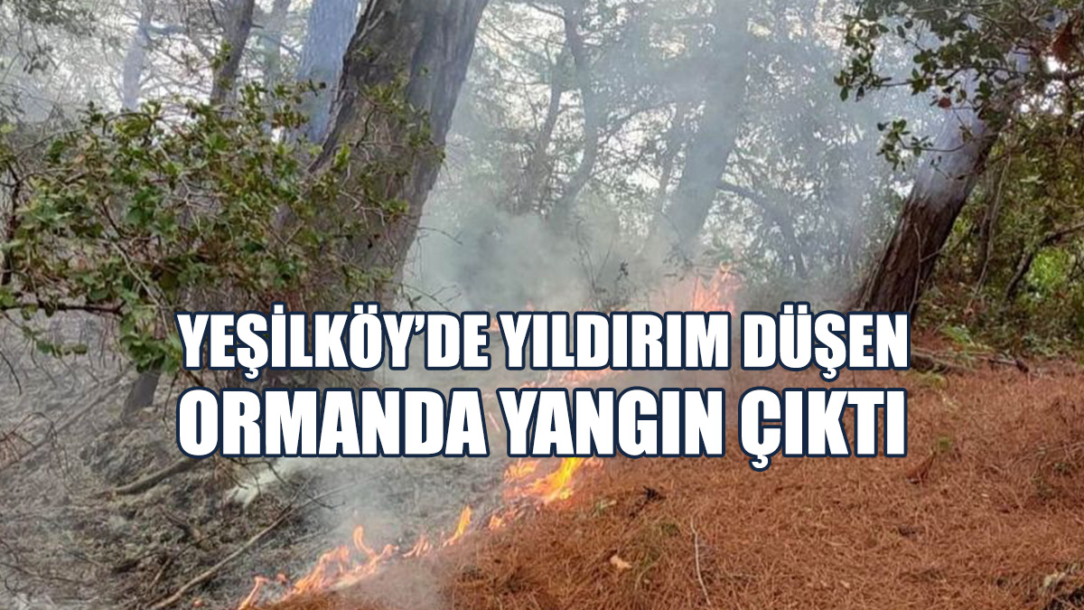 Yangın Sonucu 8 Ağaç Ve Maki Bitkileri Zarar Gördü