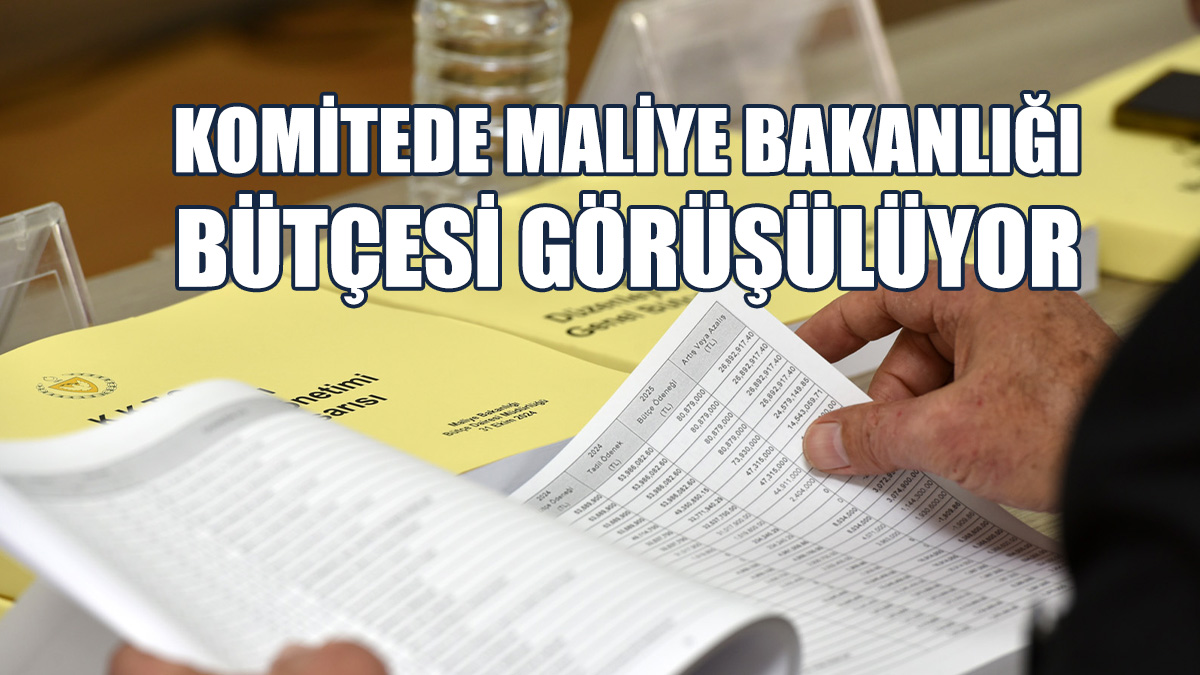 Maliye Bakanlığı Bütçesi, 68 Milyar 970 Milyon 569 Bin TL