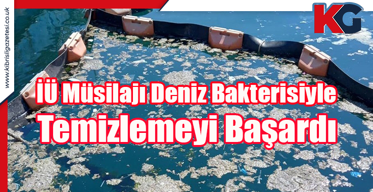İÜ Müsilajı Deniz Bakterisiyle Temizlemeyi Başardı
