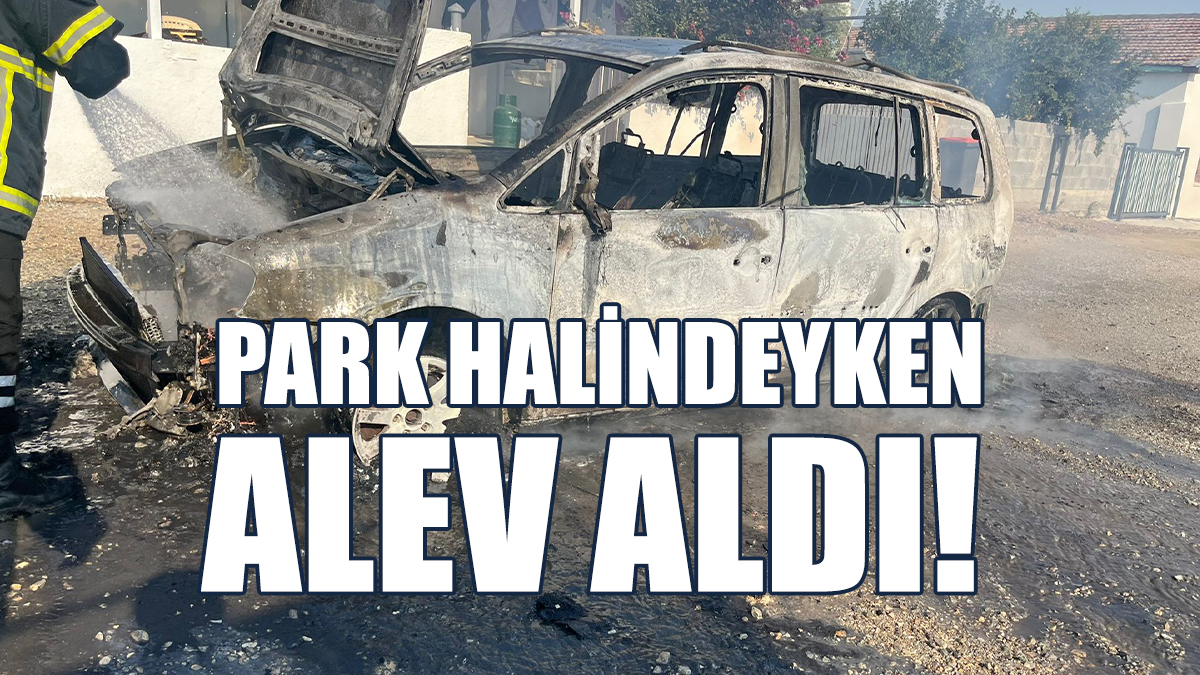 Park Halindeyken Alev Alan Araç Küle Döndü!