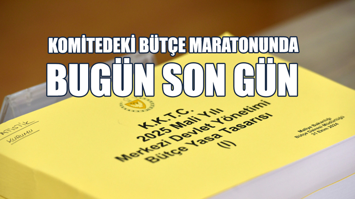 Komite, Bugün Çalışmalarını Tamamlayacak