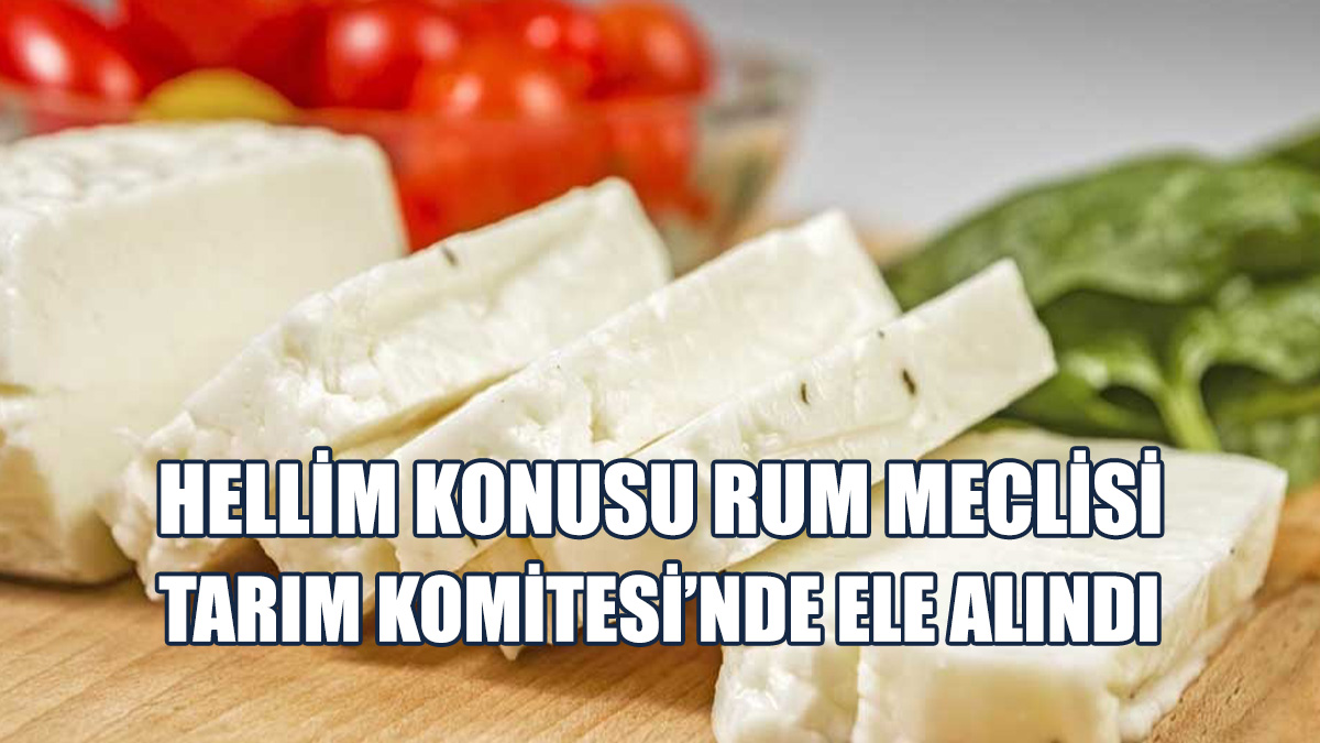 Hellim Konusu Rum Meclisi Tarım Komitesi’nde Ele Alındı