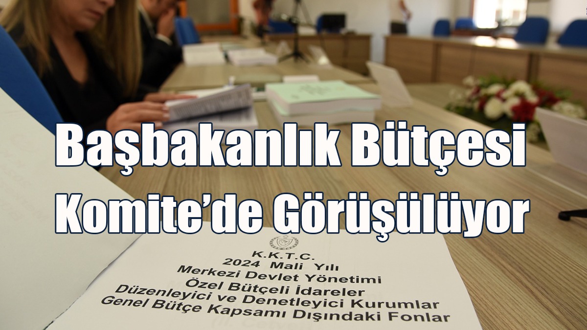 Başbakanlık Bütçesi Komite’de Görüşülüyor