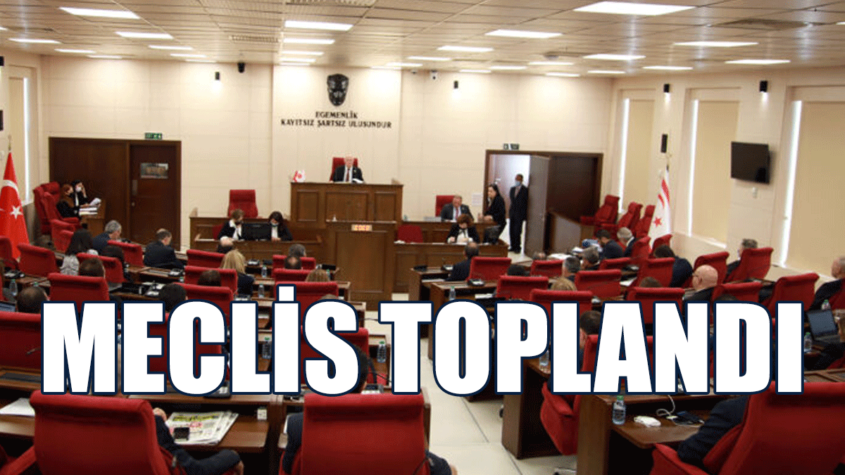 Meclis Hem Yasama Hem De Denetim Göreviyle Toplandı