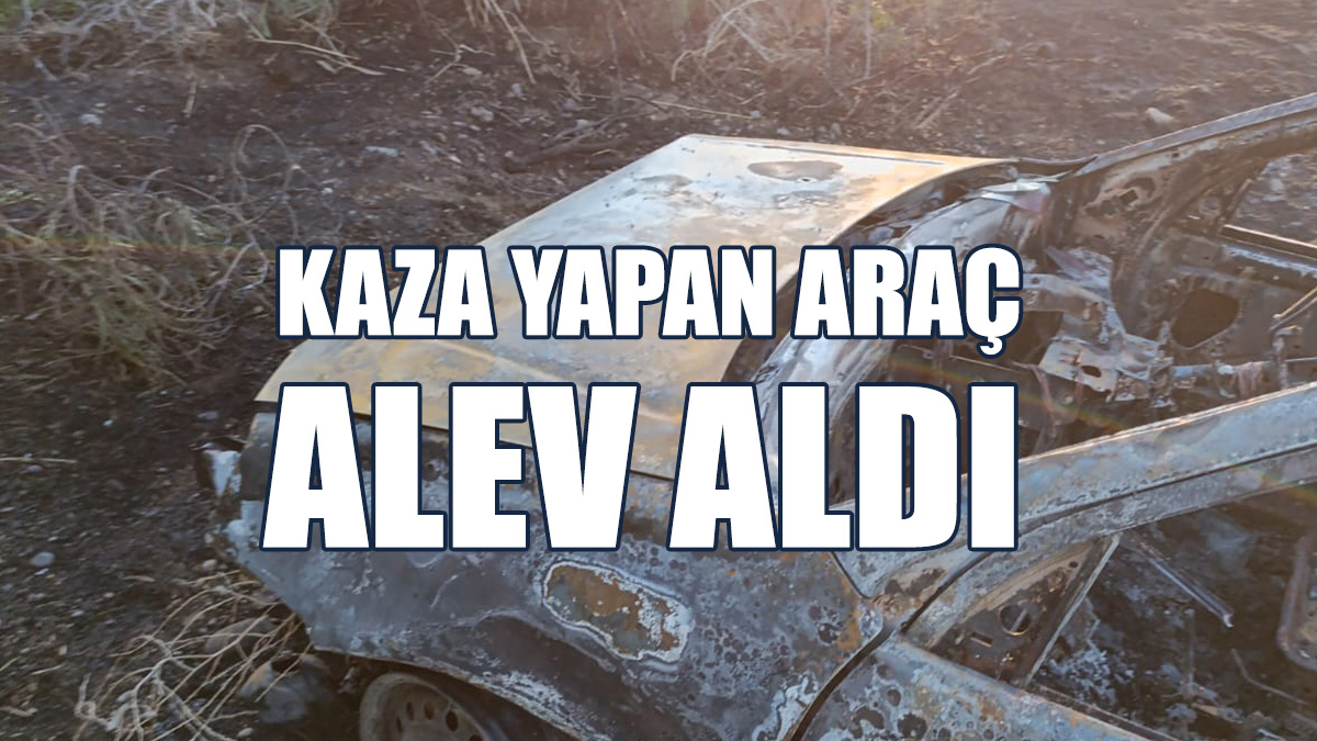 Kaza Yapan Araç Alev Aldı