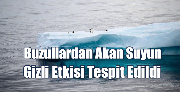 Eriyen Buzullardan Akan Suyun Gizli Etkisi Tespit Edildi