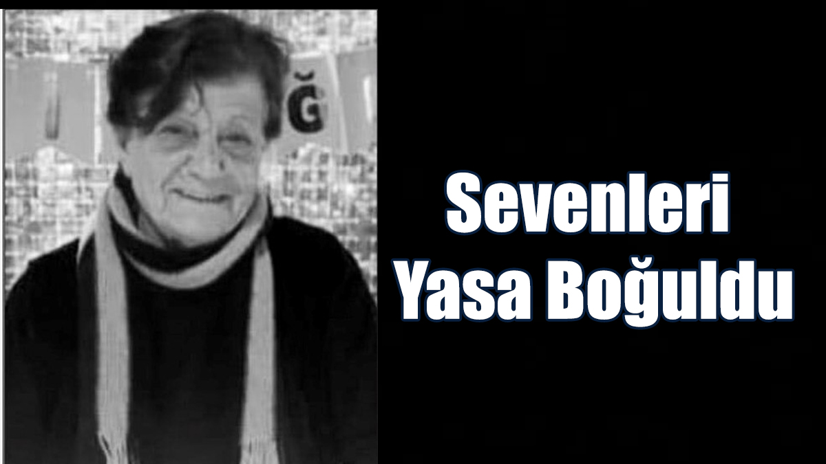 Zalihe Tilki Hayatını Kaybetti