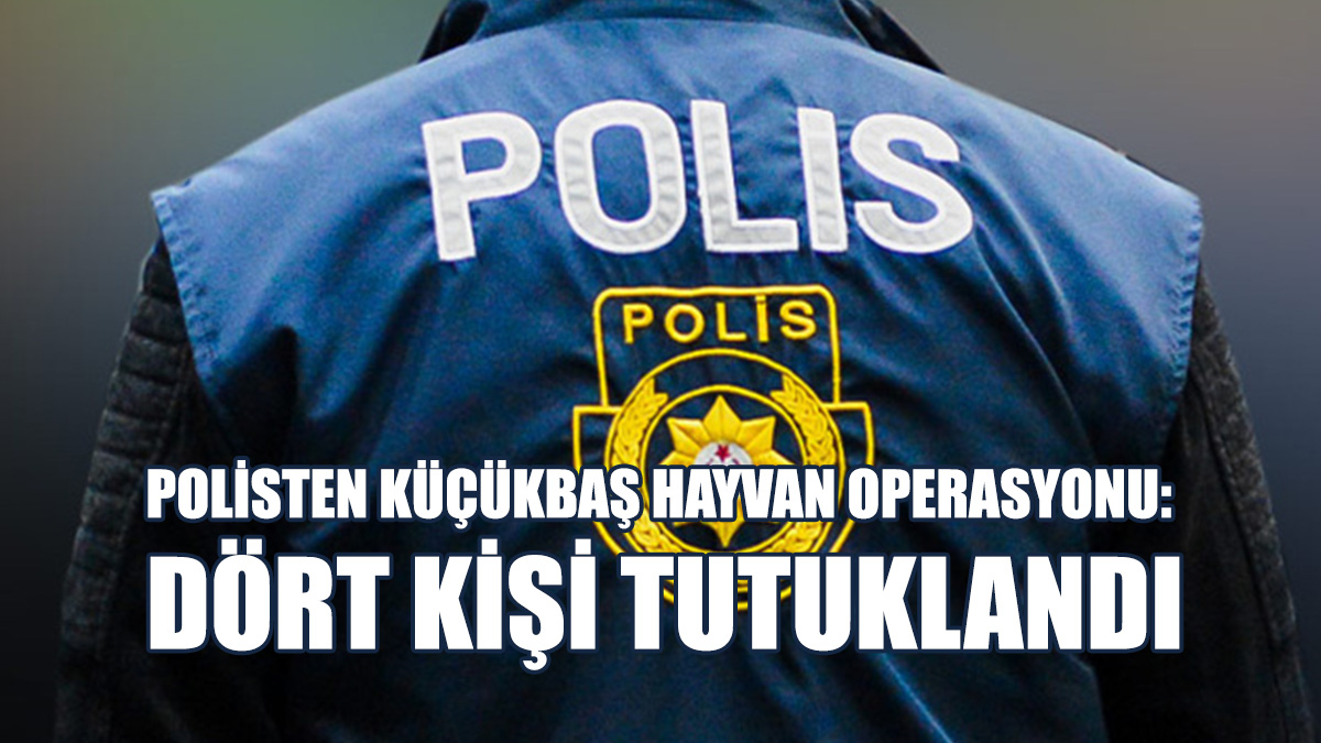 45 Küçükbaş Hayvan Ele Geçirdi