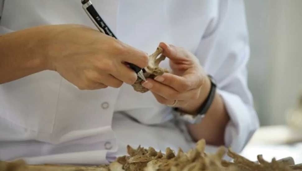 Pantelidis kayıplar konusunda açıklama yaptı