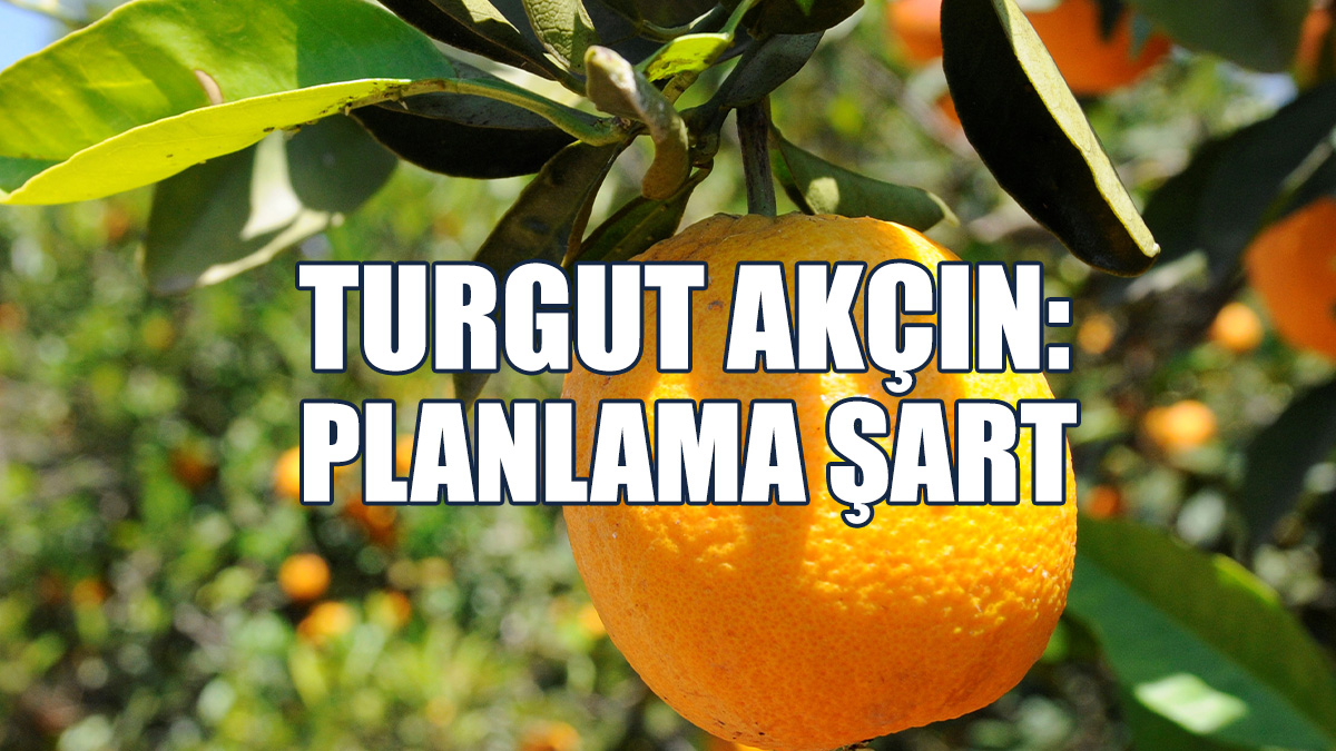 Akçın, İhracatın Önünün Açılmasını İstedi