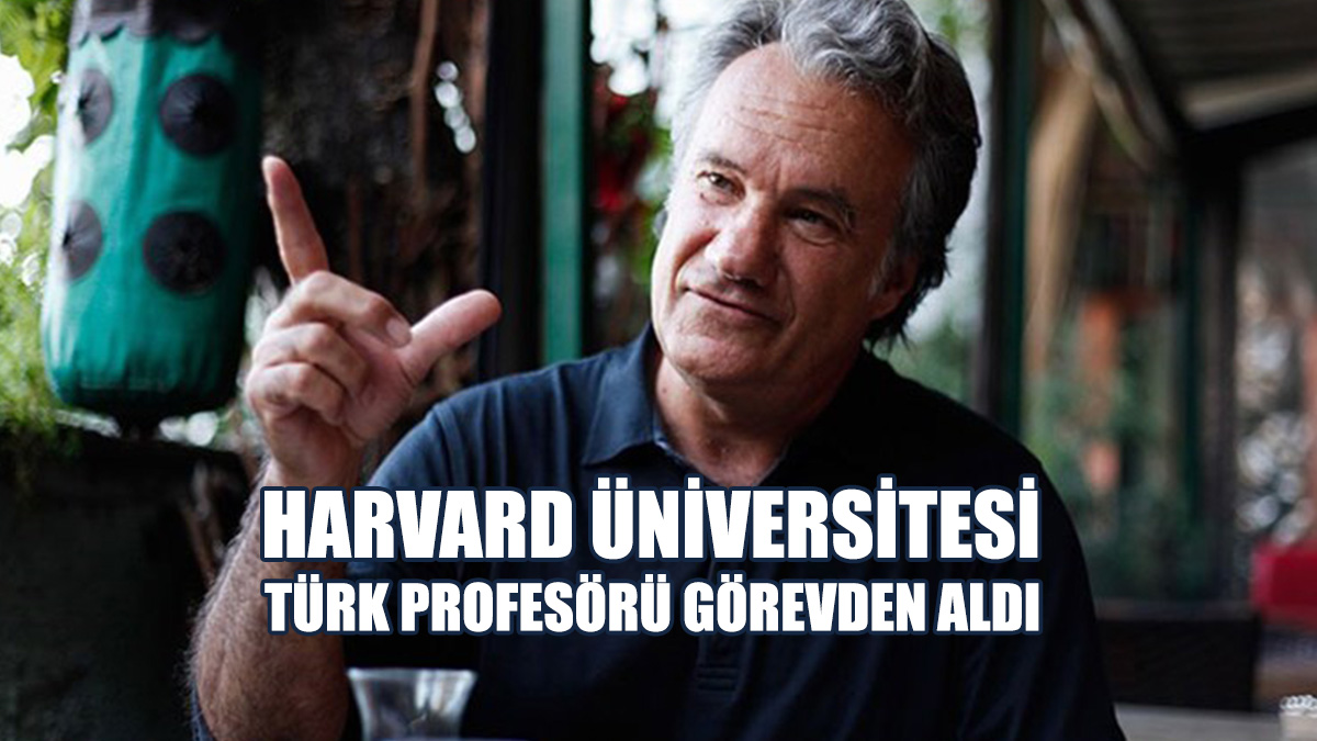 Harvard Üniversitesi Türk Profesörü Görevden Aldı