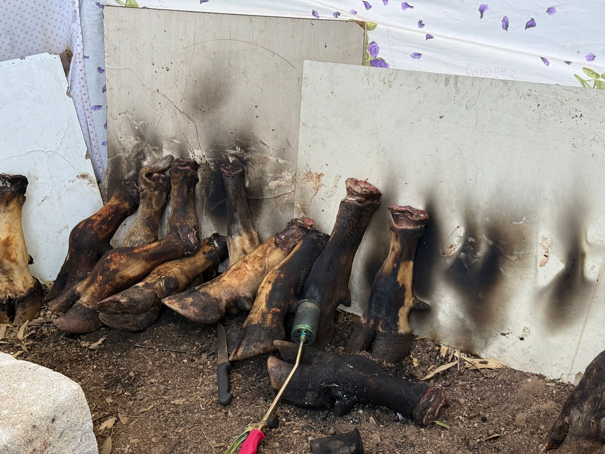 Gazimağusa Belediyesi Zabıta Birimi’nden suçüstü kaçak ürün operasyonu
