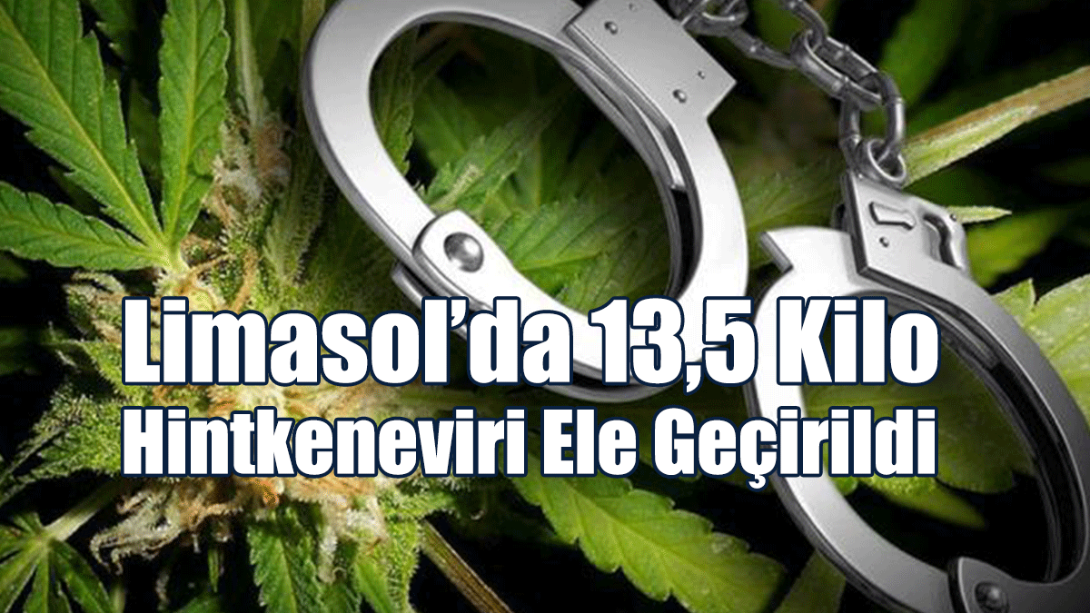 Limasol’da 13,5 Kilo Hintkeneviri Ele Geçirildi