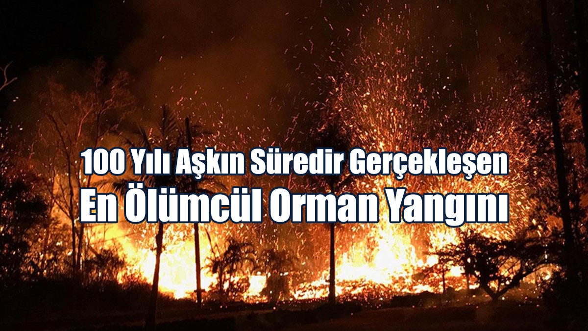 100 Yılı Aşkın Süredir Gerçekleşen En Ölümcül Orman Yangını