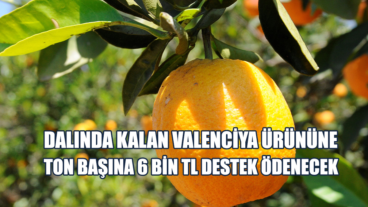 Bakanlar Kurulu Kararı Resmi Gazete'de Yayımlandı