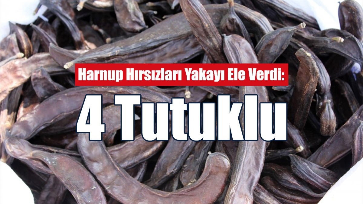 Harnup Hırsızları Yakayı Ele Verdi: 4 Tutuklu