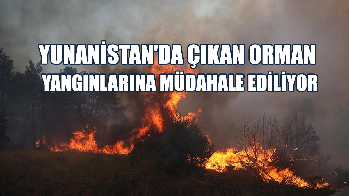 Yunanistan'da Orman Yangını
