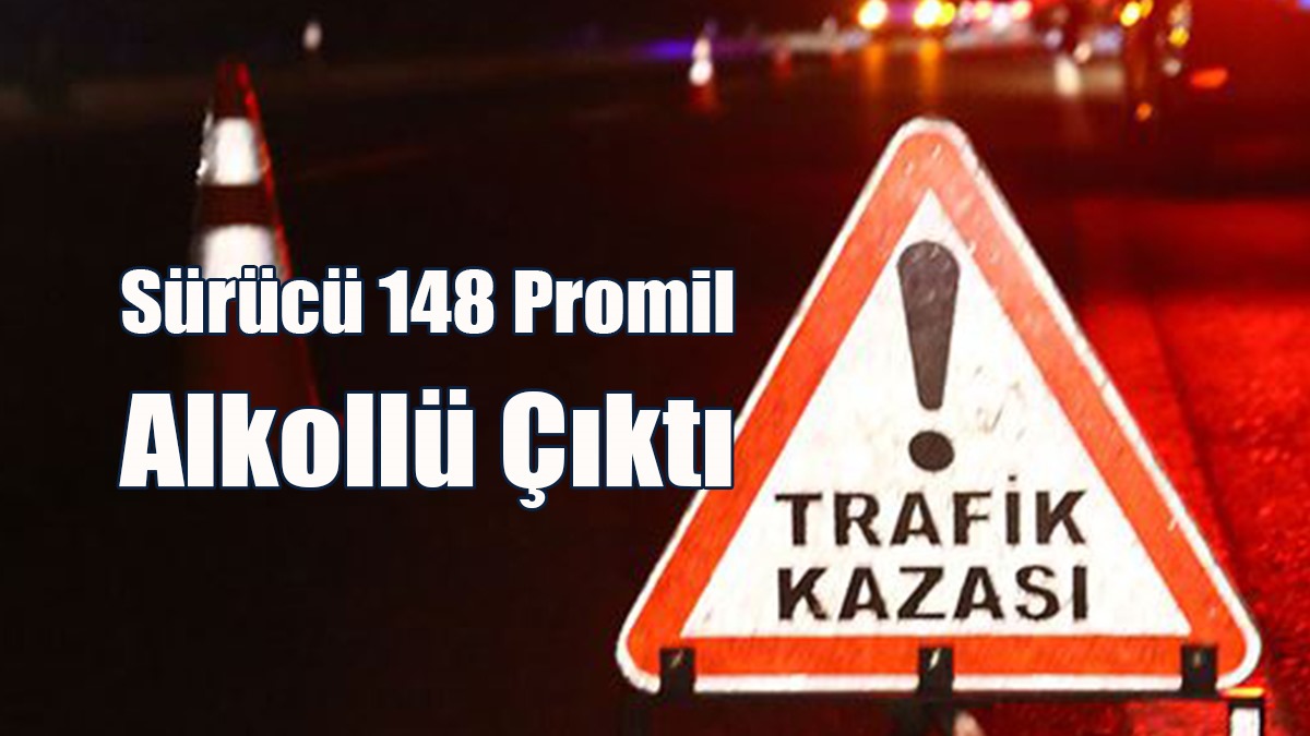 Aydınlatma Direğine Çarparak Durabildi