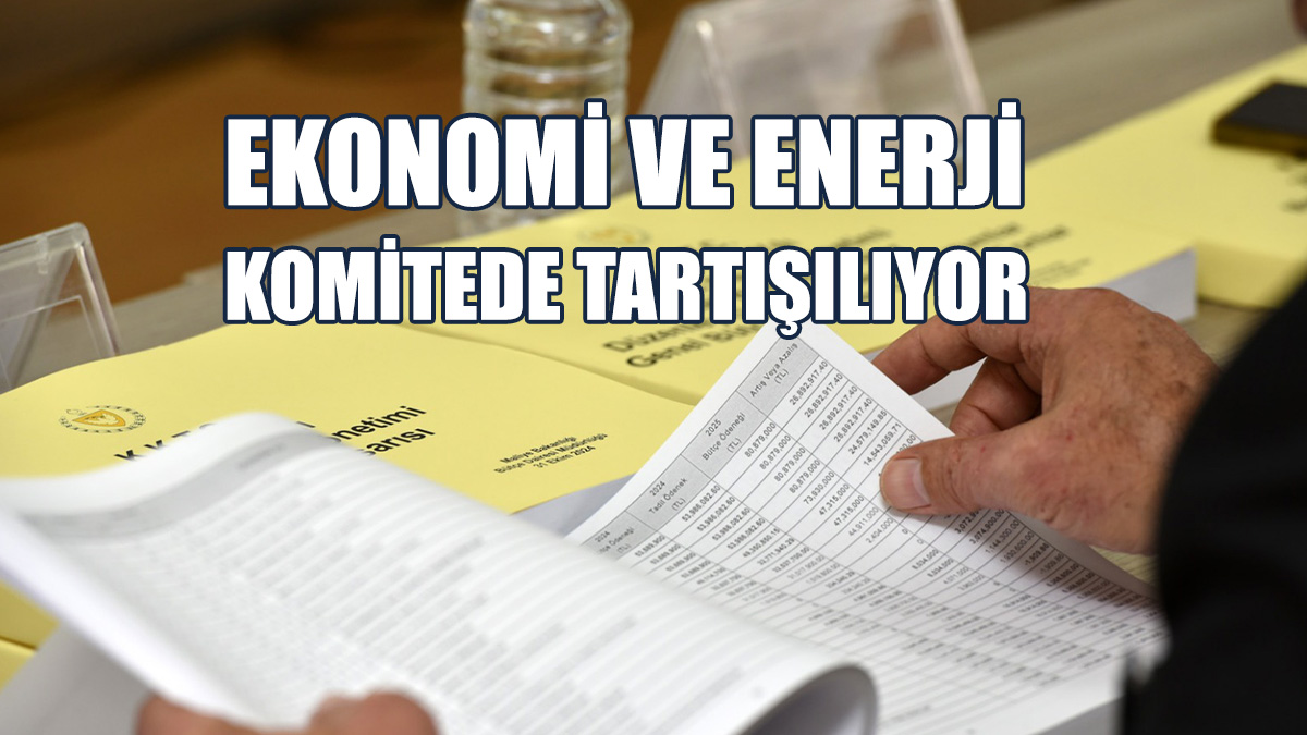 Solyalı: Ekonomi Bakanlığı Bütçesi, Din İşleri Dairesi’ninkinin Yarısı Kadar
