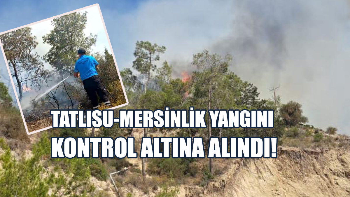 Korkutan Yangın Kontrol Altına Alındı!