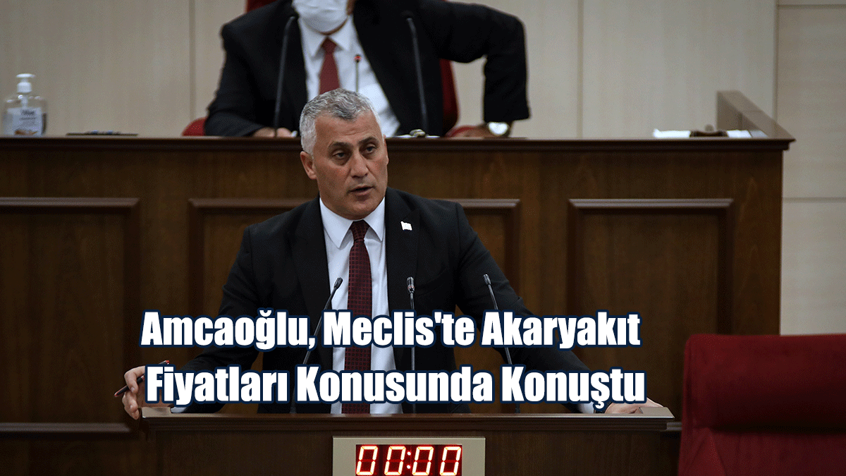 Amcaoğlu, Meclis'te akaryakıt fiyatları konusunda konuştu