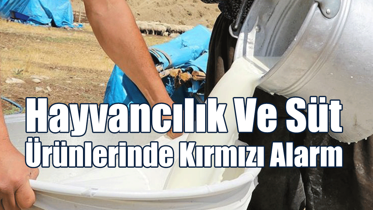 "Hayvancılık Ve Süt Ürünlerinde Kırmızı Alarm"