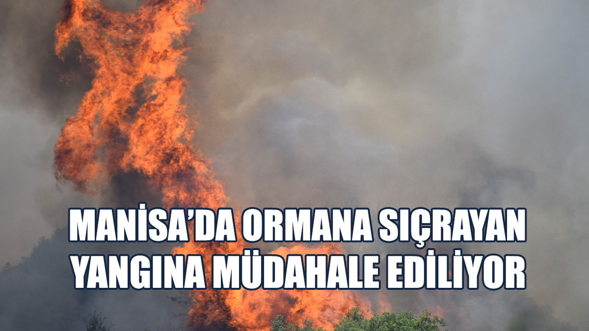 Havadan Ve Karadan Müdahale Başlatıldı