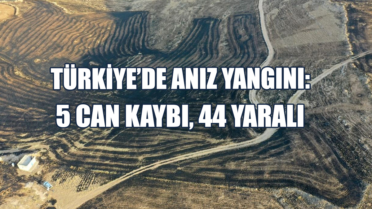 Türkiye’de Anız Yangını: 5 Can Kaybı, 44 Yaralı