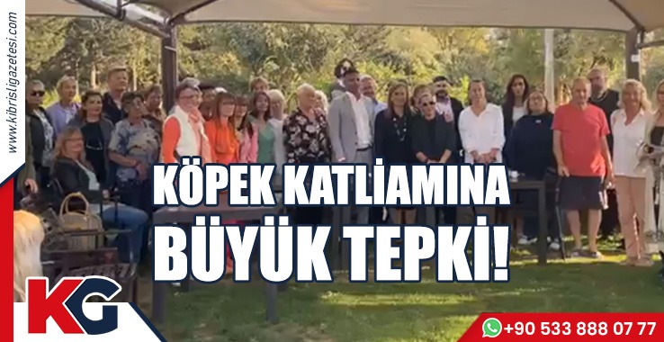 KÖPEK KATLİAMINA BÜYÜK TEPKİ!