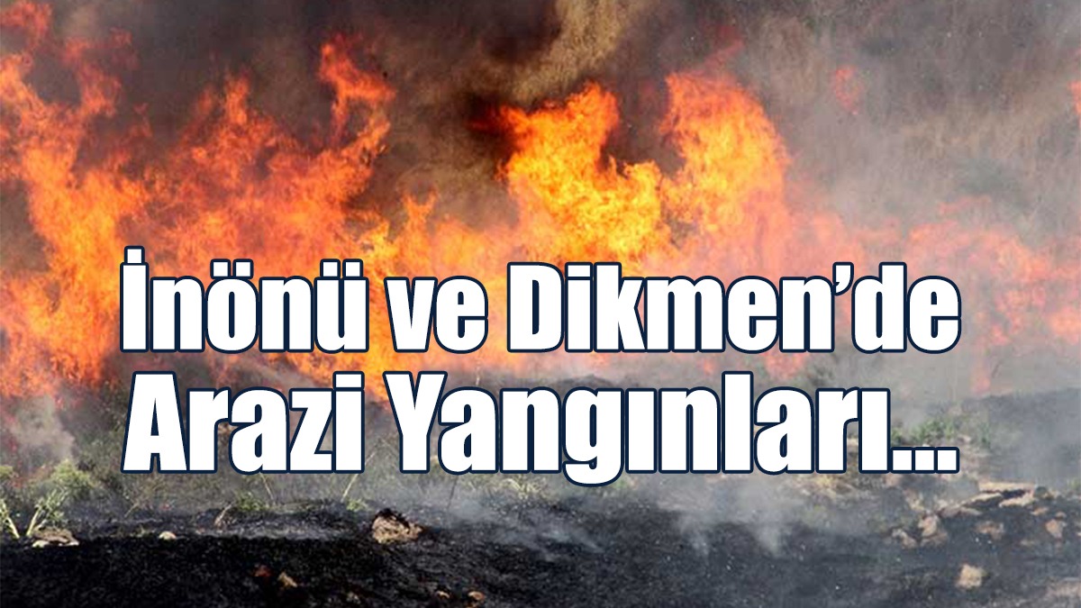 İnönü ve Dikmen’de Arazi Yangınları…