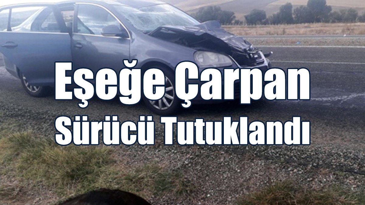 Telef Olan Eşeğin Sahibine Yasal İşlem