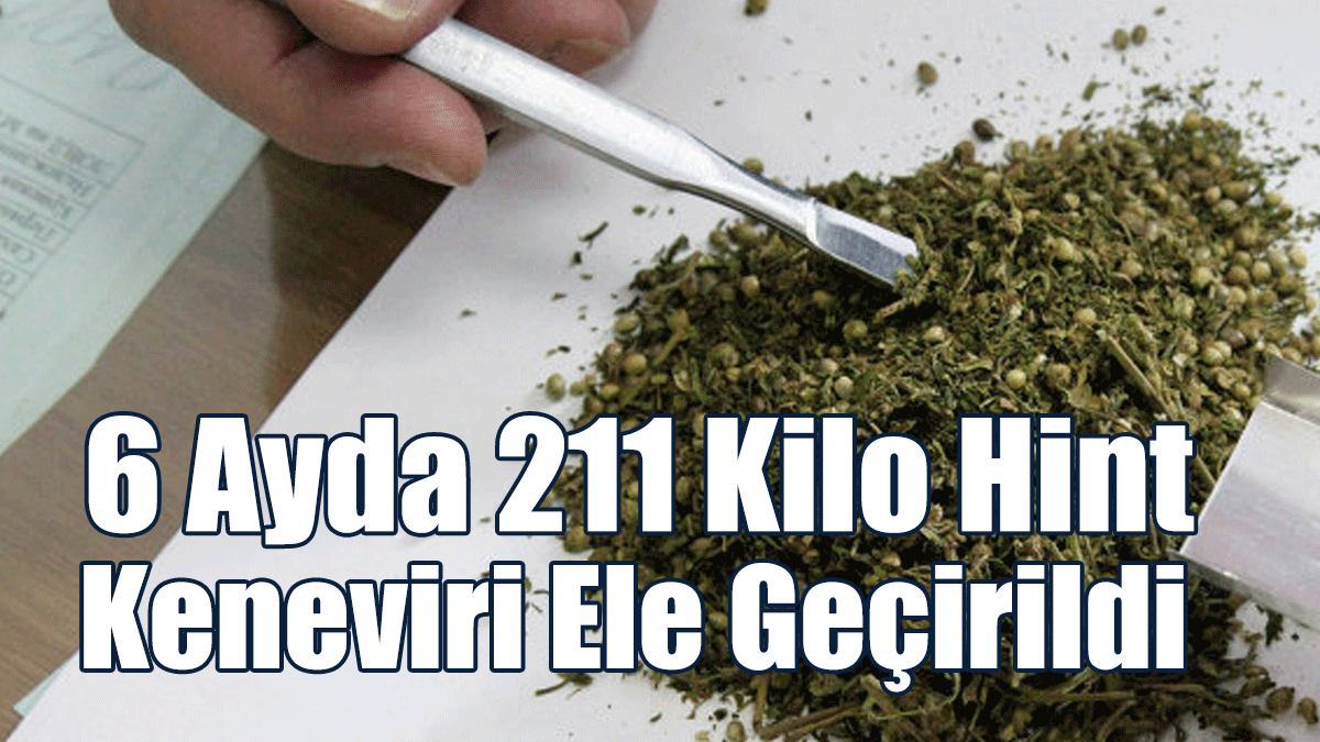 Güney’de 6 Ayda 211 Kilo Hint Keneviri Ele Geçirildi