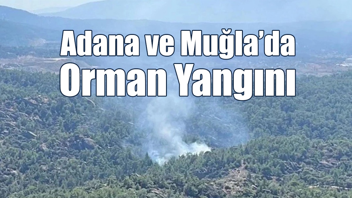 Adana ve Muğla’da Orman Yangını