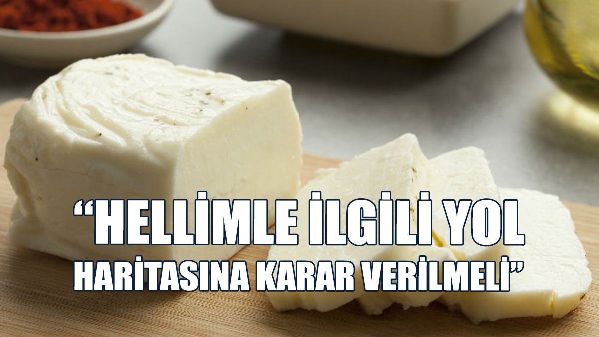AKEL Hükümetin Hellimle İlgili Yol Haritasına Karar Vermesini İstedi