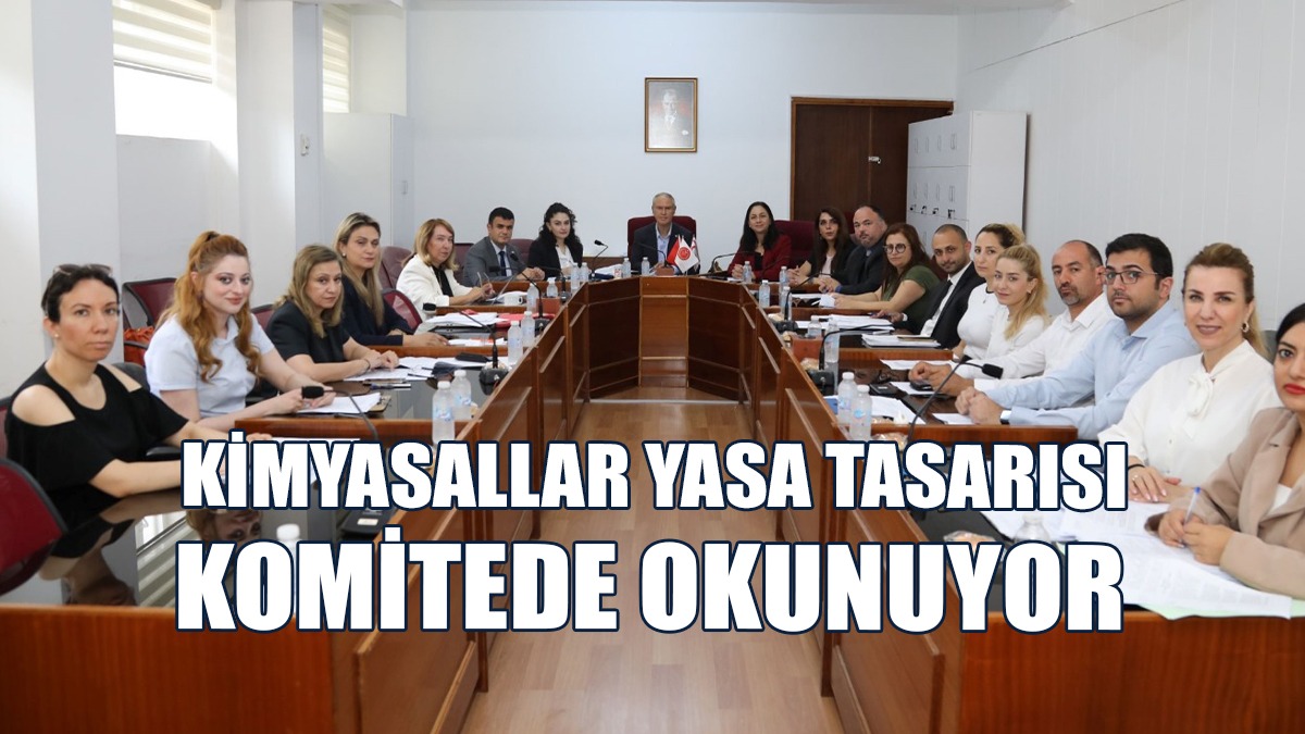 Komite, Yasa Tasarısı’nı Madde Madde Oylamaya Devam Etti