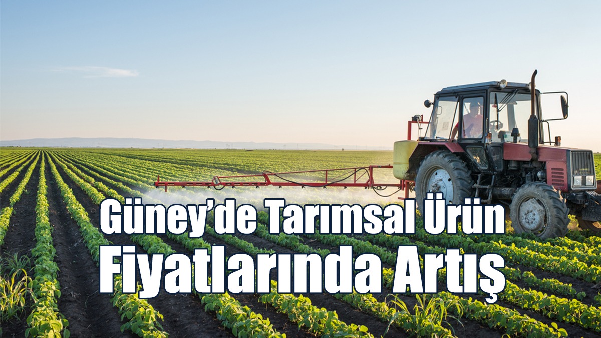 Güney’de Tarımsal Ürün Fiyatlarında Artış