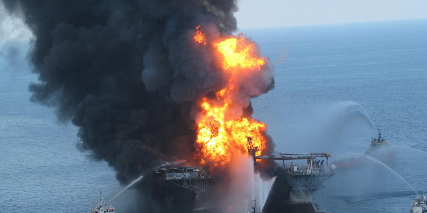 Meksika Körfezi’ndeki petrol felaketinin etkileri sürüyor: Deniz canlıları yüzde 60 azaldı