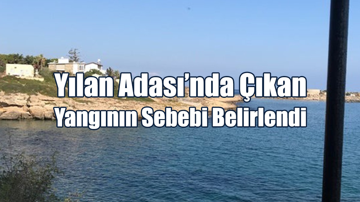 Yılan Adası’nda Yangın: 1 Tutuklama