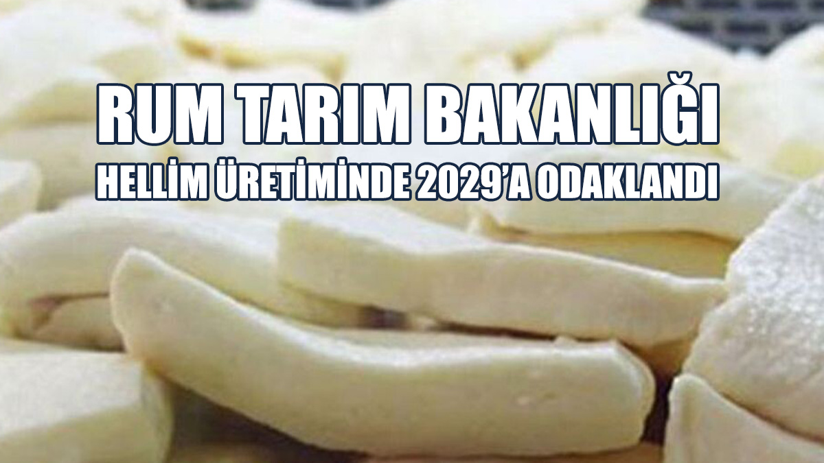 Rum Tarım Bakanlığı Hellim Üretiminde 2029’a Odaklandı…