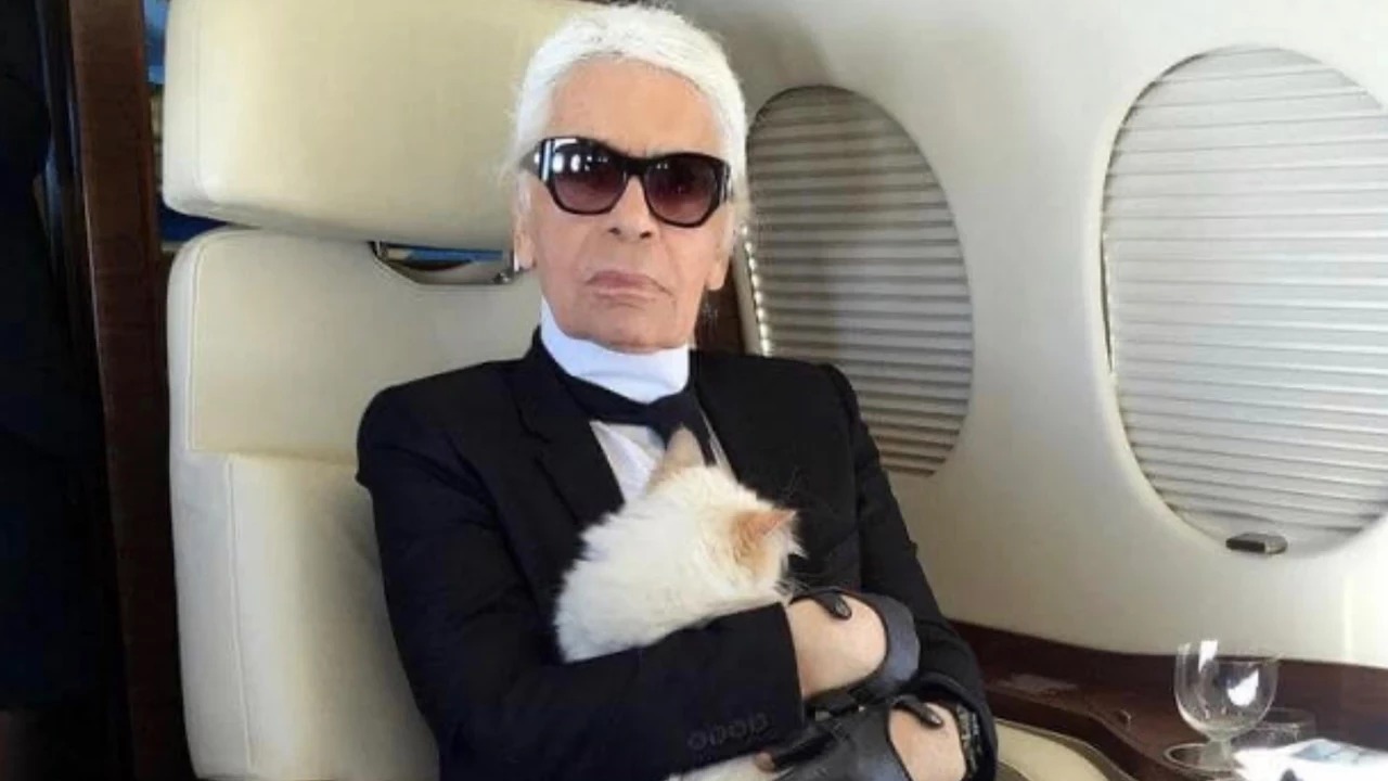 Ünlü modacının kedisine bıraktığı miras kriz yarattı