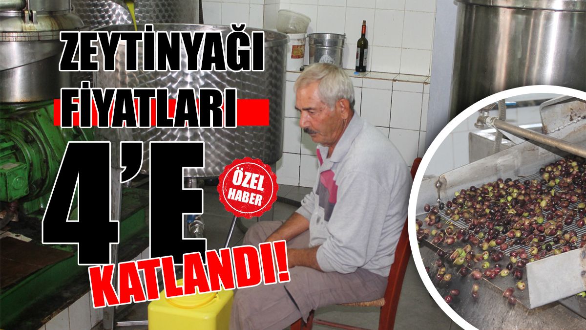 Zeytinyağı Fiyatları 4’e Katlandı!