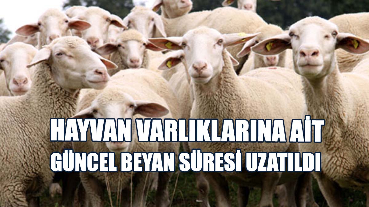 Süre 17 Ocak Cuma Gününe Kadar Uzatıldı