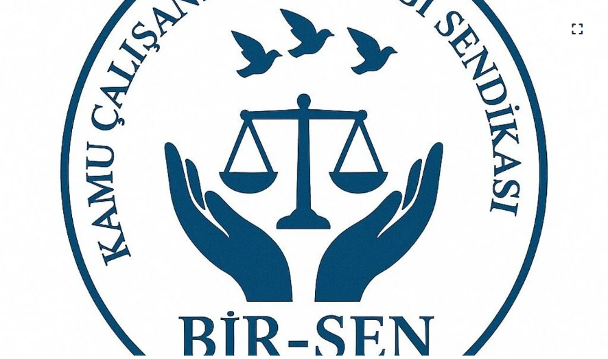 Bir-Sen: “Hayat pahalılığı artışlarının maaşlara yansıtılma sistemi değişmelidir”