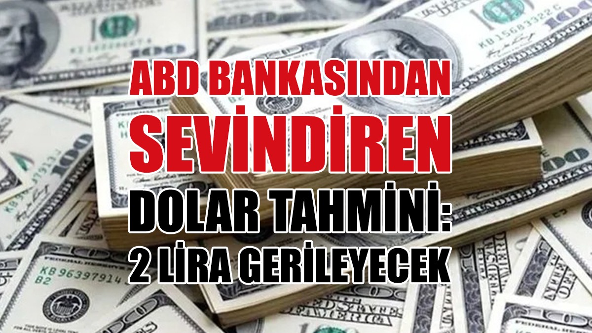 Wells Fargo: TL Değer Kazanacak, Dolar 2 Lira Gerileyecek