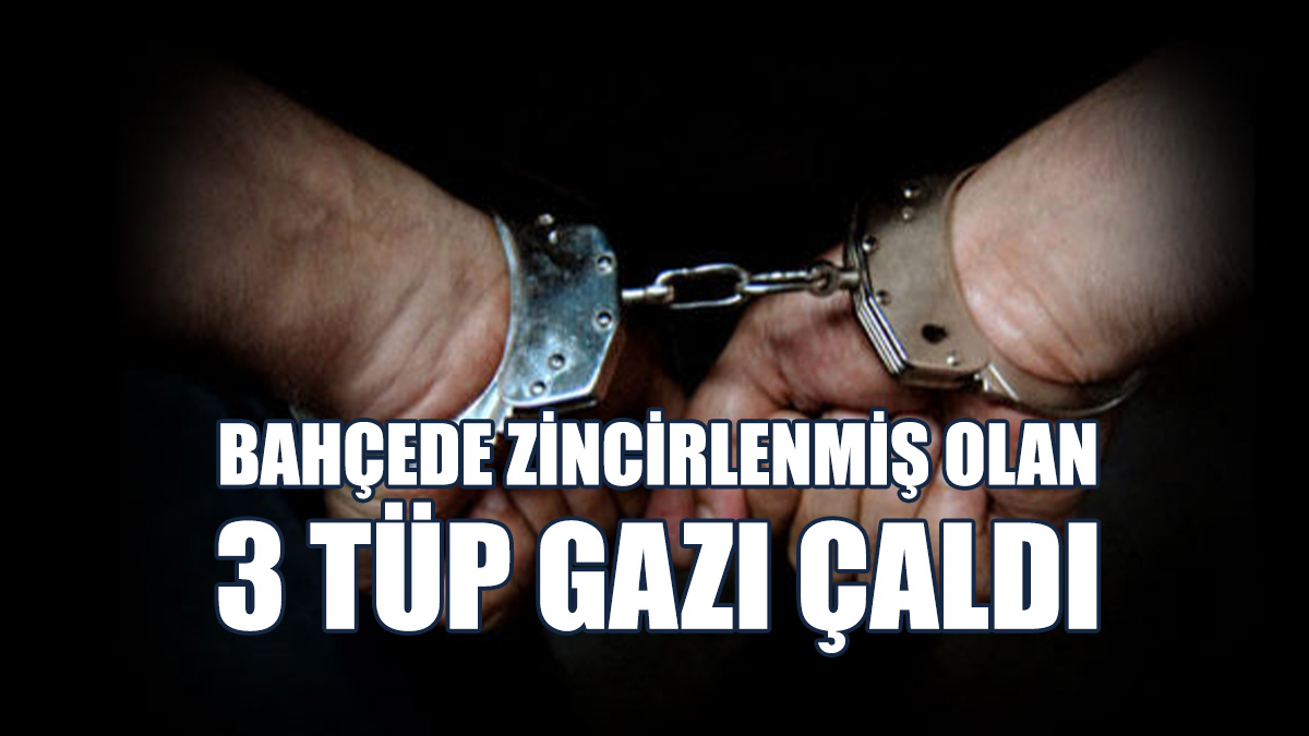 Dikmen'de Hırsızlık...