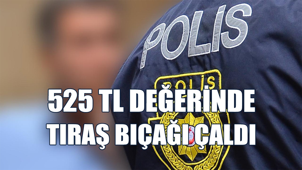 Demirhan'da Hırsızlık...